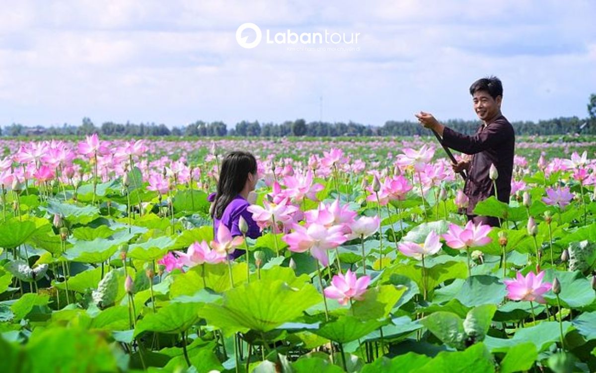 du lịch trải nghiệm ở việt nam