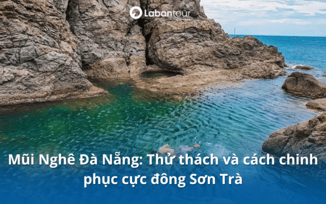 mũi nghê đà nẵng​