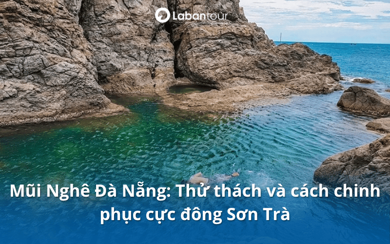 mũi nghê đà nẵng​
