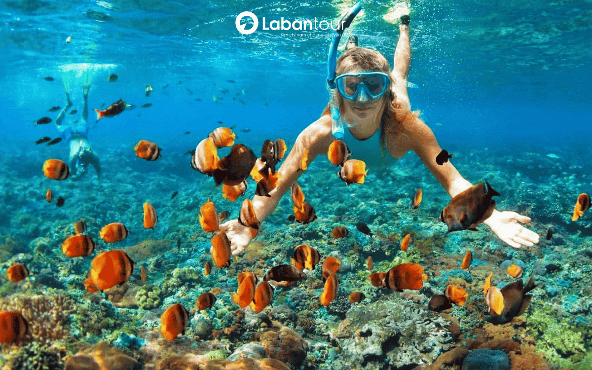 Mũi Nghê Đà Nẵng