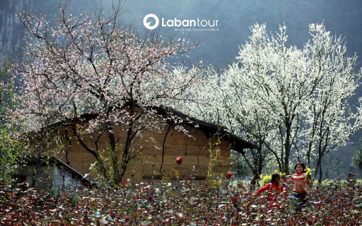 cuối tháng 2 nên đi du lịch ở đâu