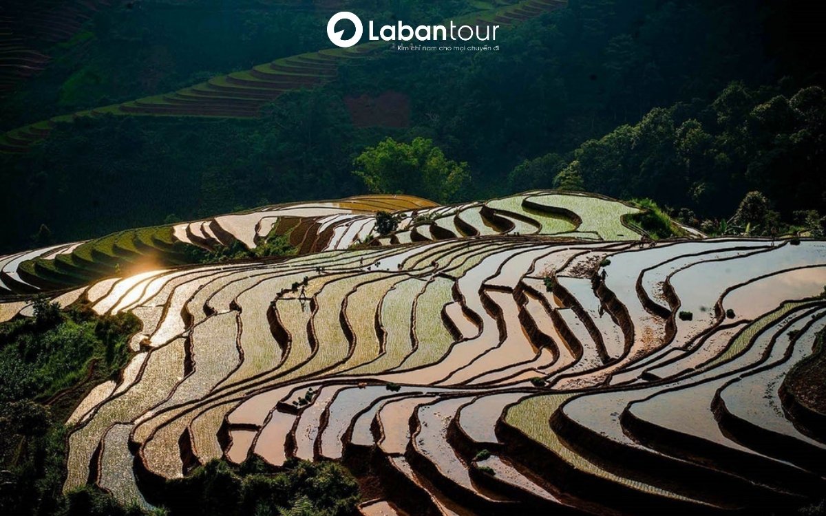 tháng 8 đi du lịch ở đâu