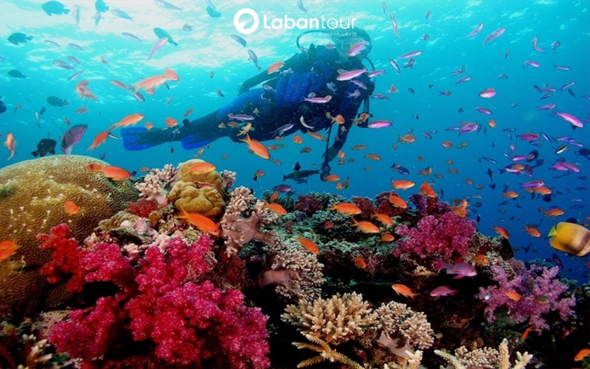 tháng 8 nên đi du lịch ở đâu