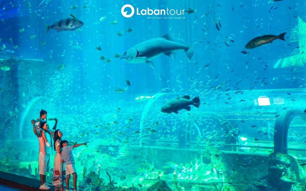 Thủy cung Times City với đường hầm kính dài nhất Hà Nội 