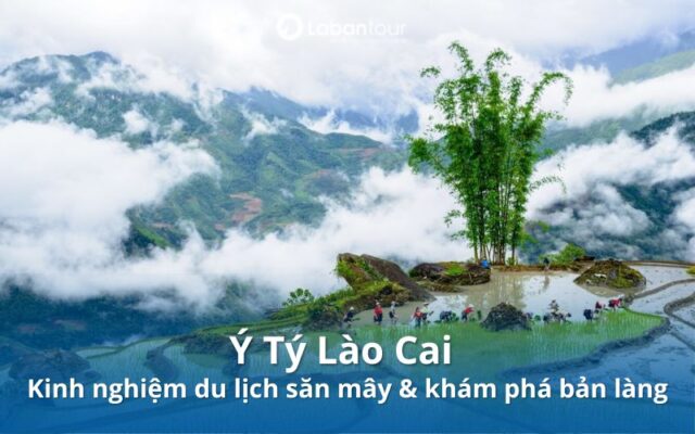 y tý lào cai