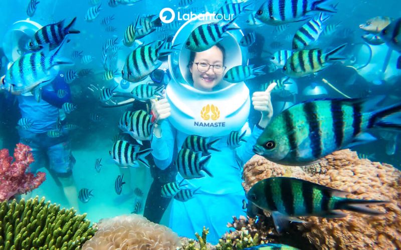 an thới phú quốc