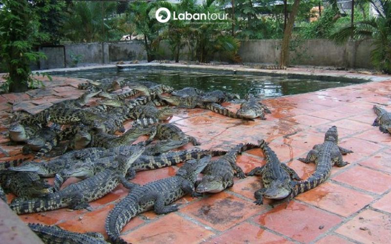 bãi Thơm Phú Quốc kiên giang