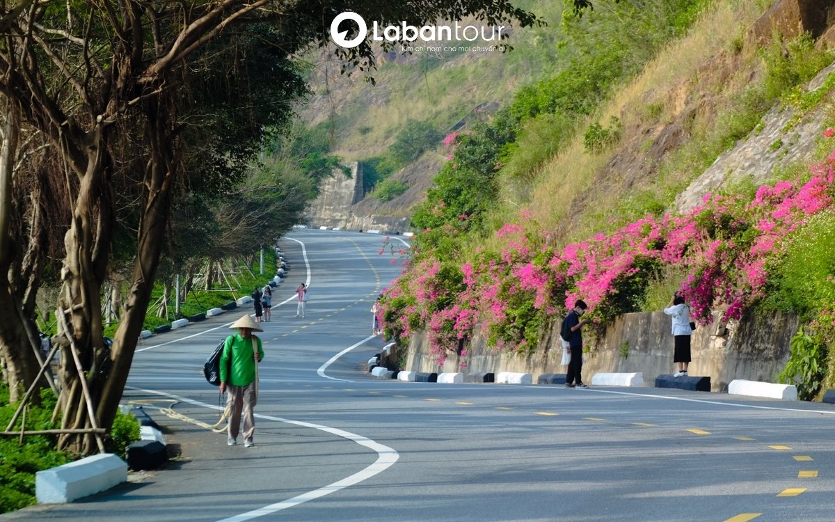 Bán Đảo Sơn Trà