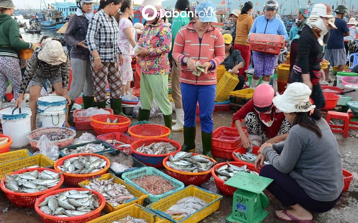 Bán Đảo Sơn Trà