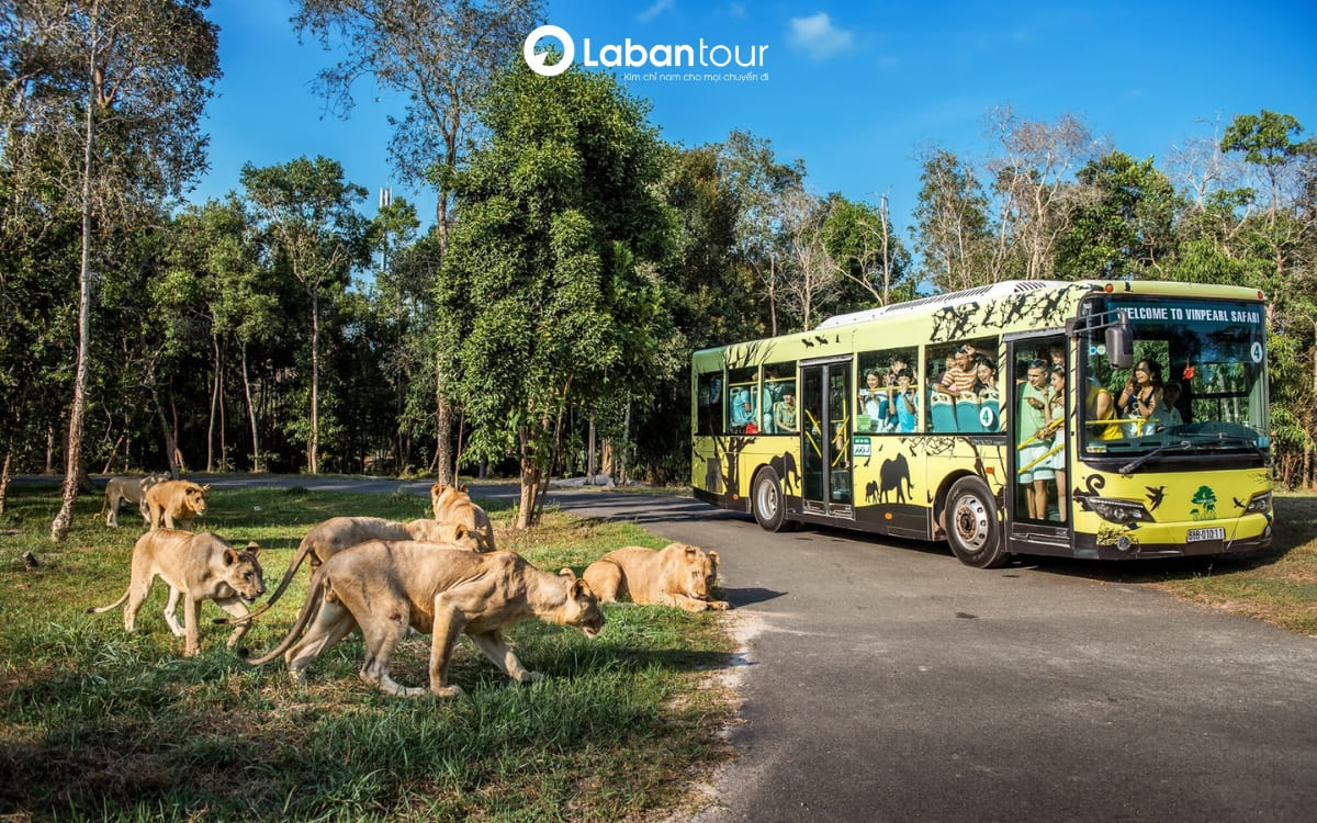 bản đồ du lịch phú quốc