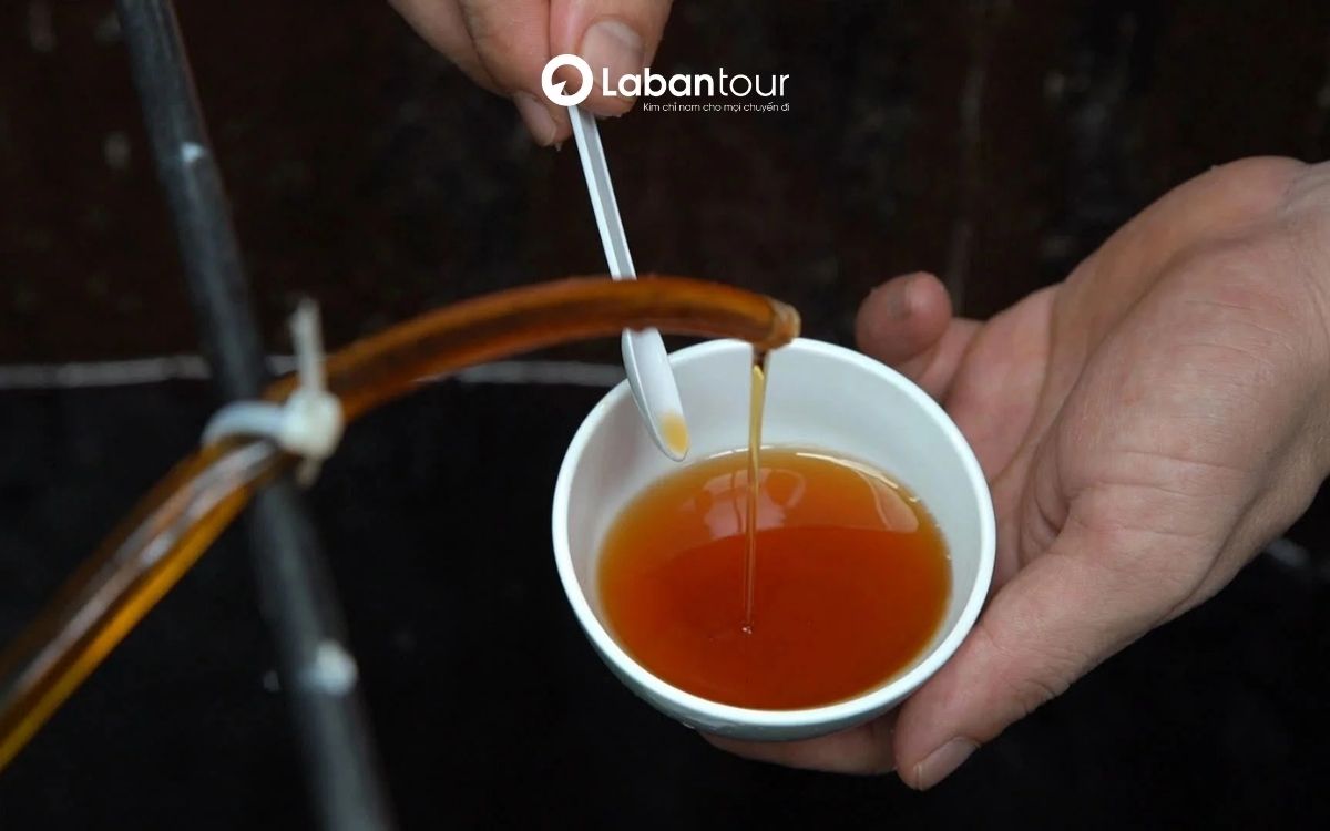 chi phí du lịch Phú Quốc