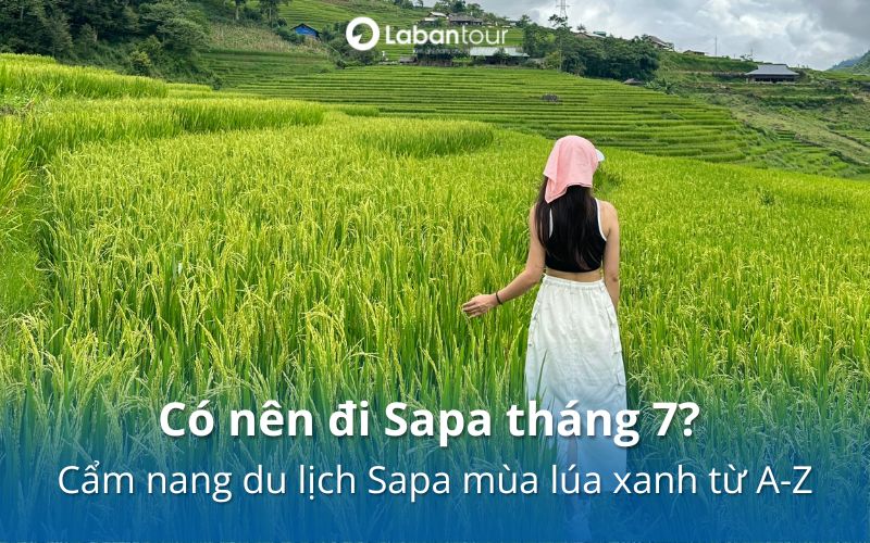 có nên đi Sapa tháng 7
