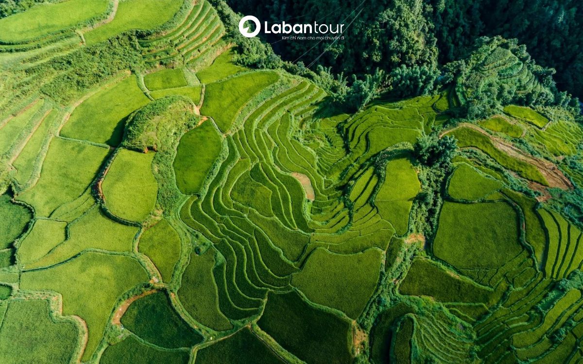 có nên đi Sapa tháng 7