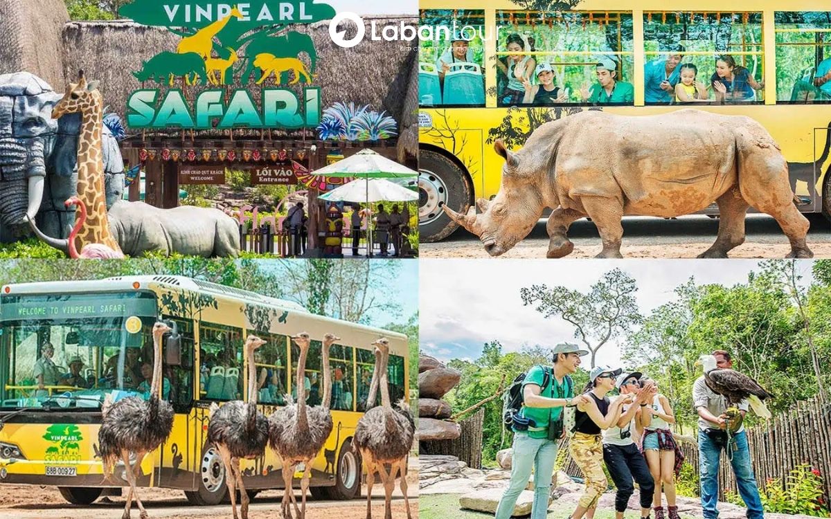 du lịch phú quốc tháng 6