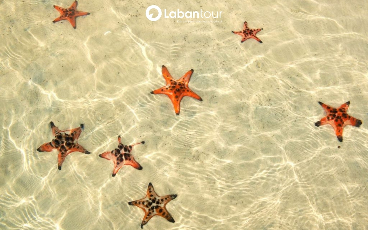 du lịch phú quốc tháng 6