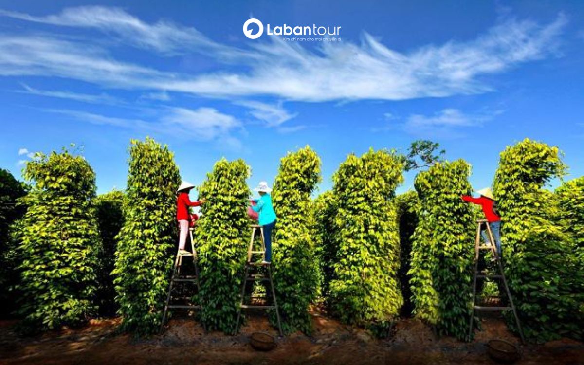 tháng 9 ở phú quốc