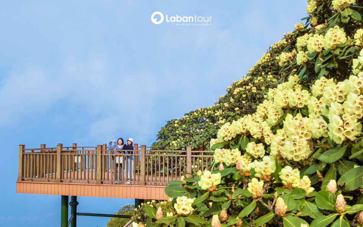 du lịch sapa tháng 4