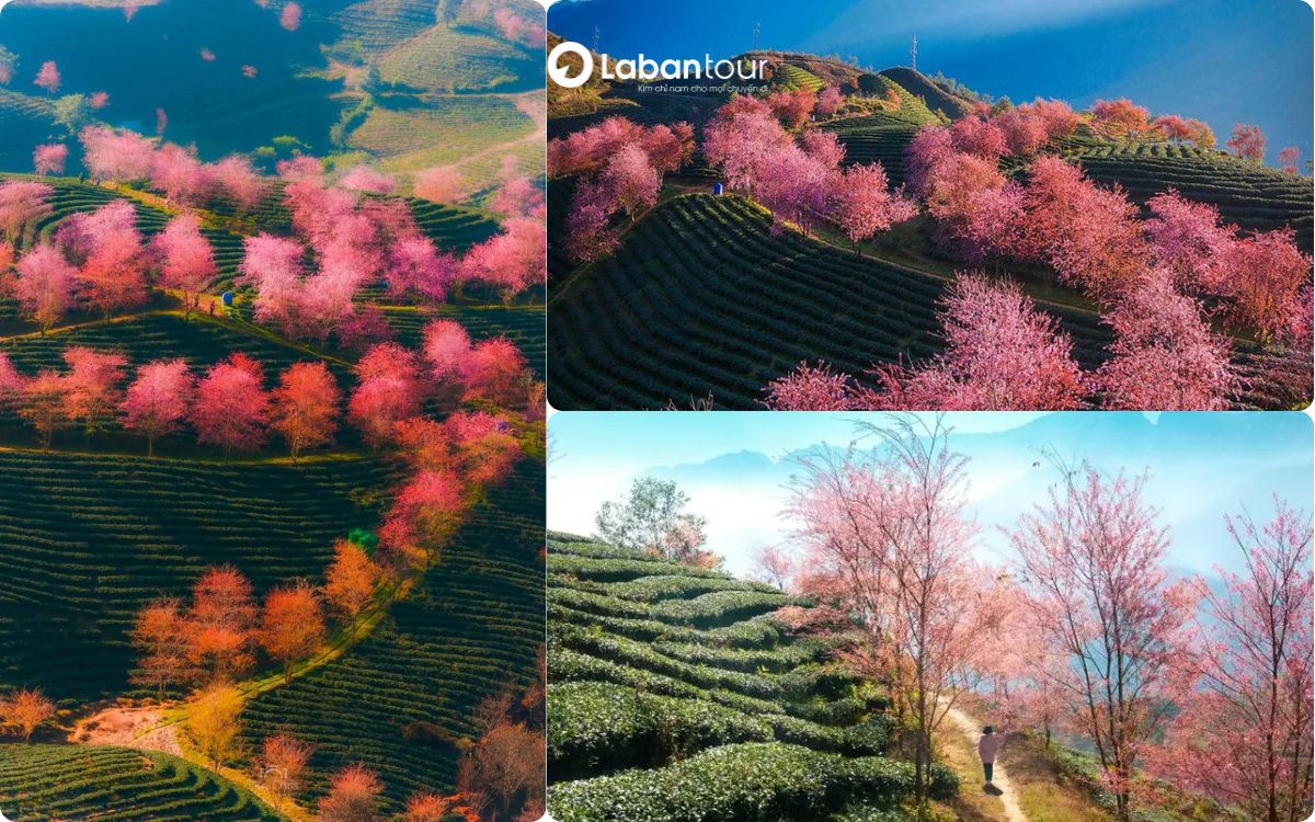sapa tháng 10 có gì