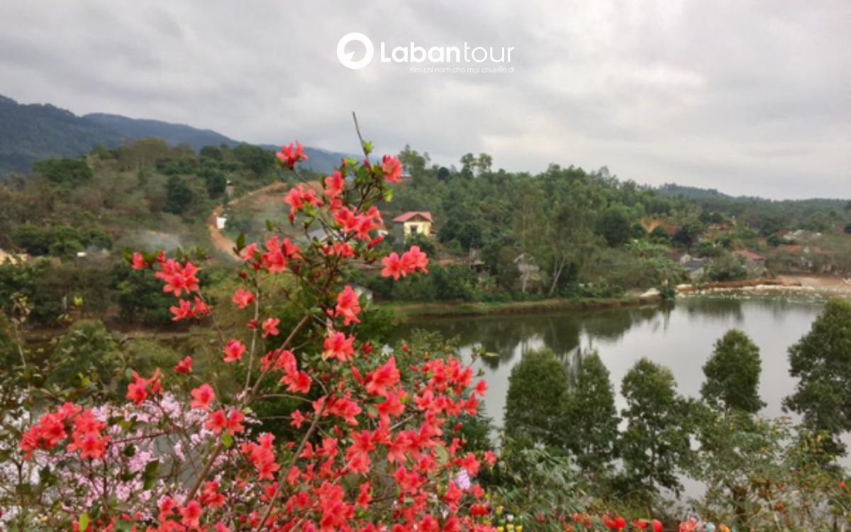 du lịch sapa tháng 6