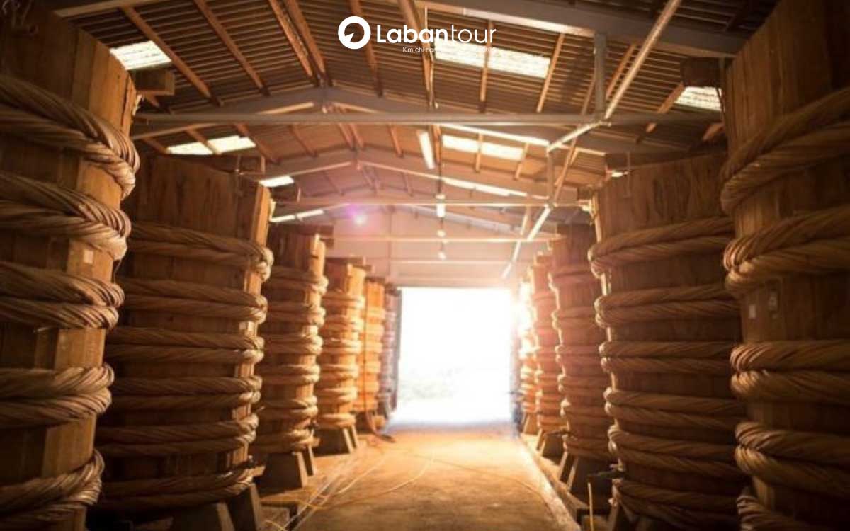 chơi gì ở nam đảo phú quốc