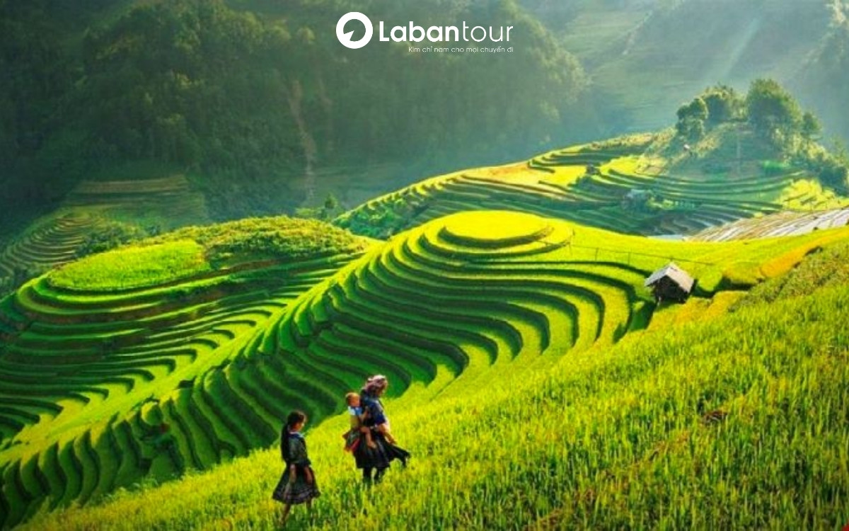 tháng 7 nên đi du lịch ở đâu