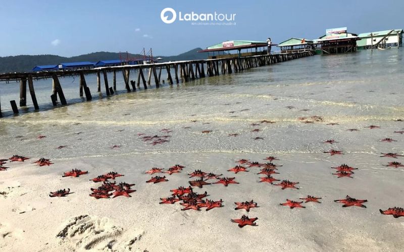 các điểm du lịch bắc đảo phú quốc