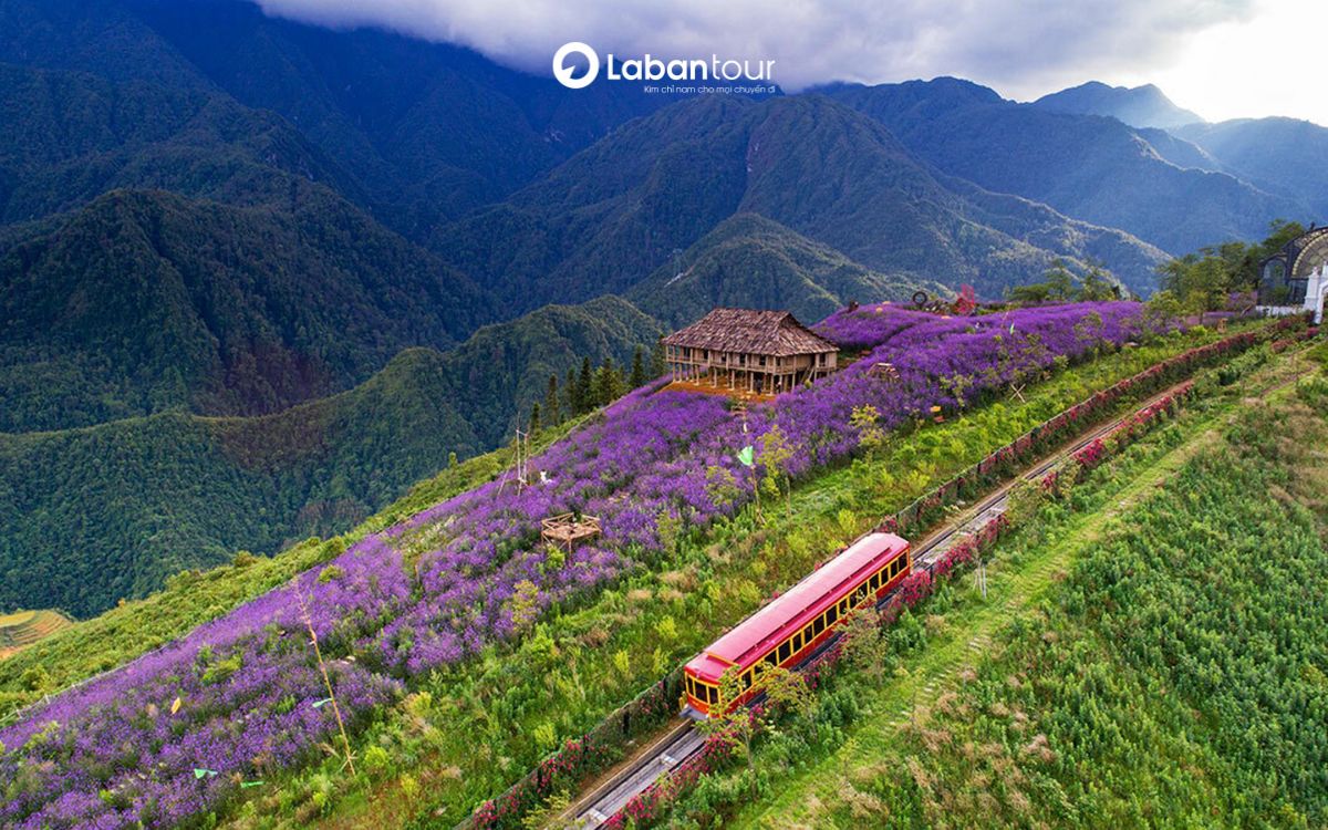 các điểm tham quan tại lào cai