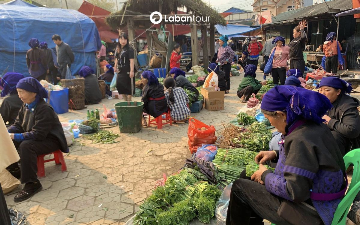 các điểm tham quan tại lào cai