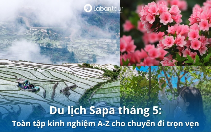 du lịch sapa tháng 5