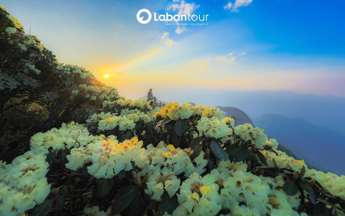 du lịch sapa tháng 5