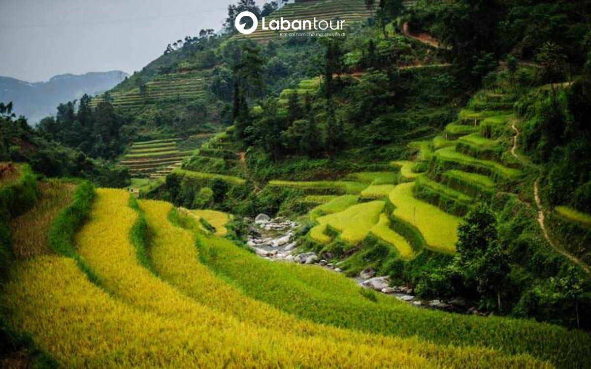 tháng 10 nên đi du lịch ở đâu