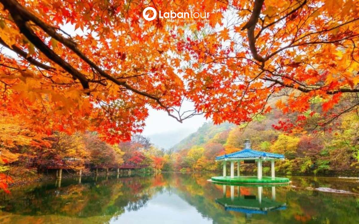 tháng 10 nên đi du lịch ở đâu