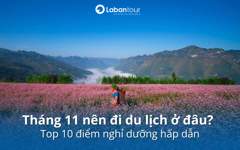 tháng 11 nên đi du lịch ở đâu