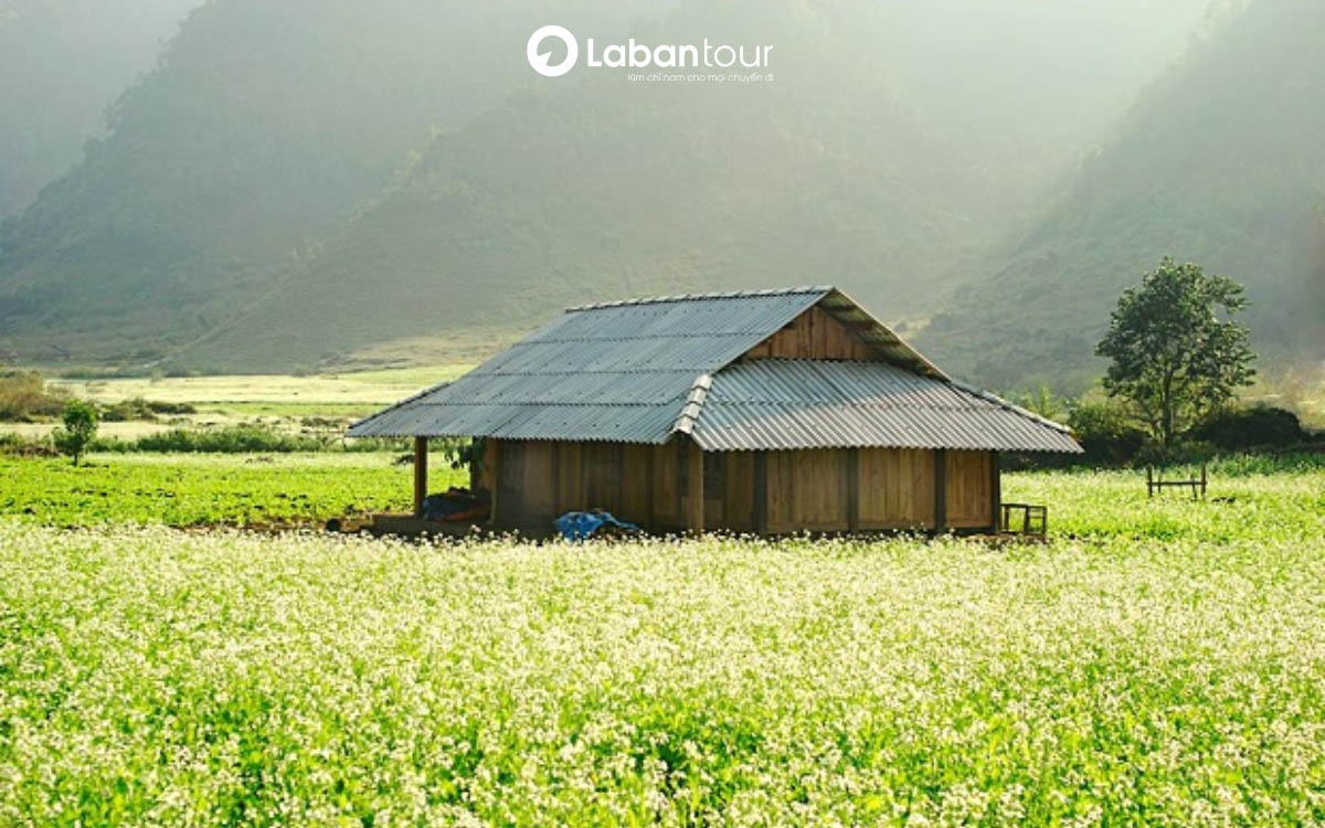 tháng 11 nên đi du lịch ở đâu