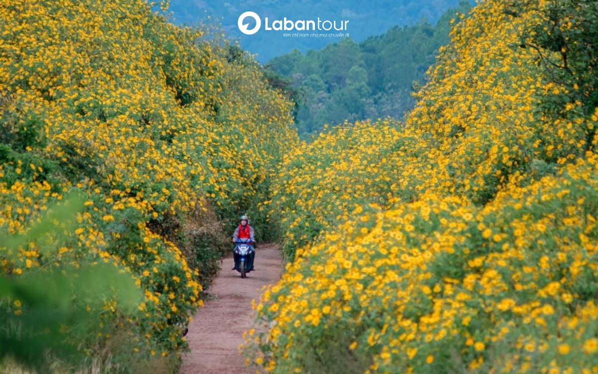 du lịch tháng 11 đi đâu