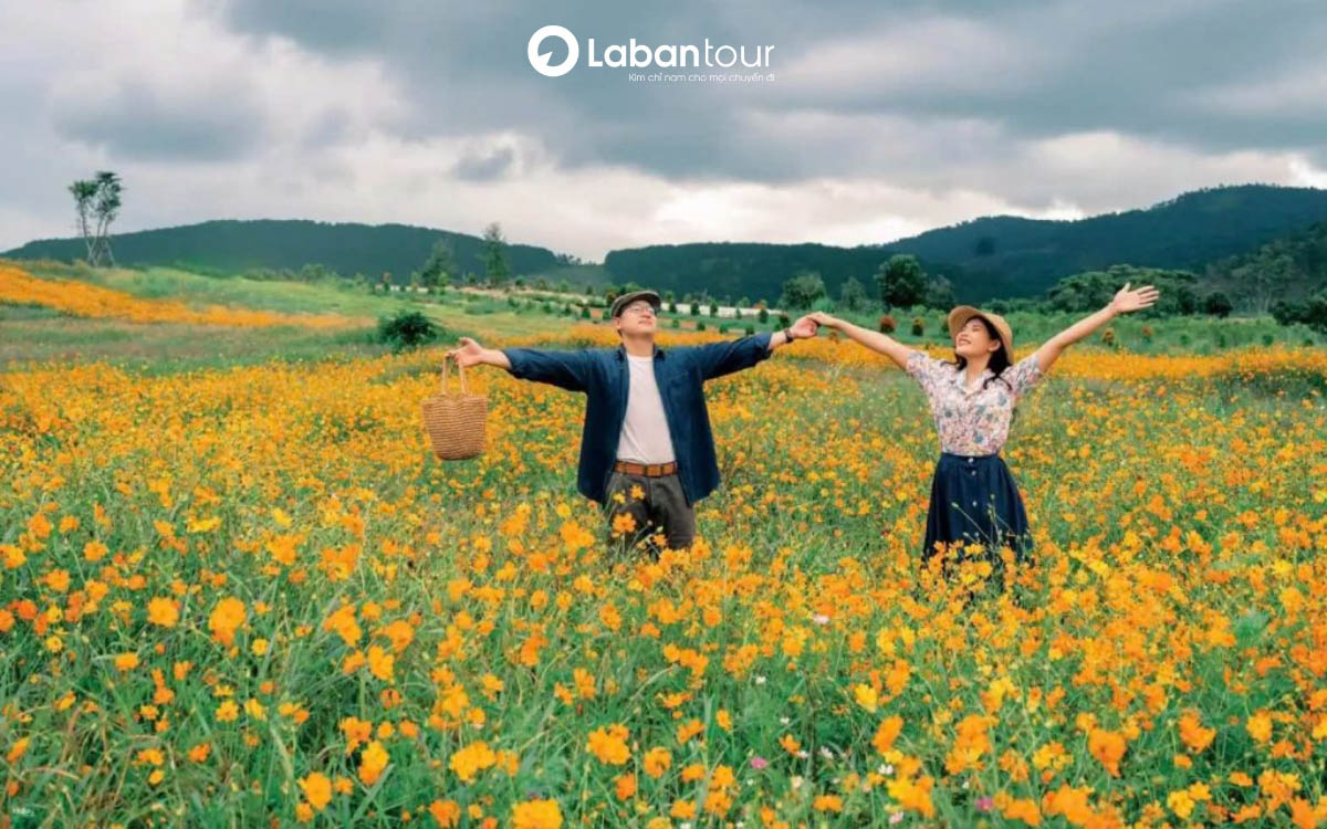 tháng 11 nên đi du lịch ở đâu