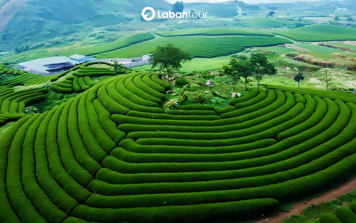 tháng 12 nên đi du lịch ở đâu