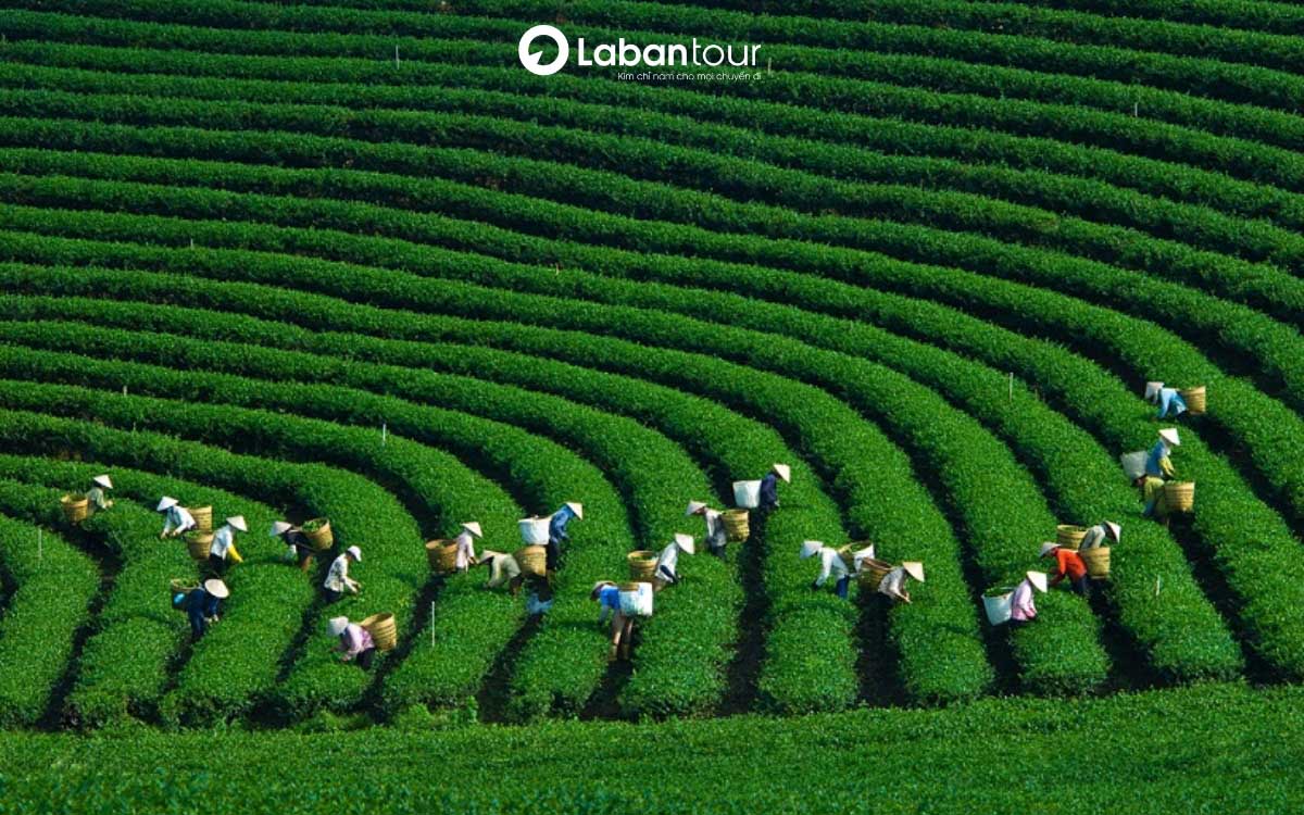 tháng 5 nên đi du lịch ở đâu miền nam