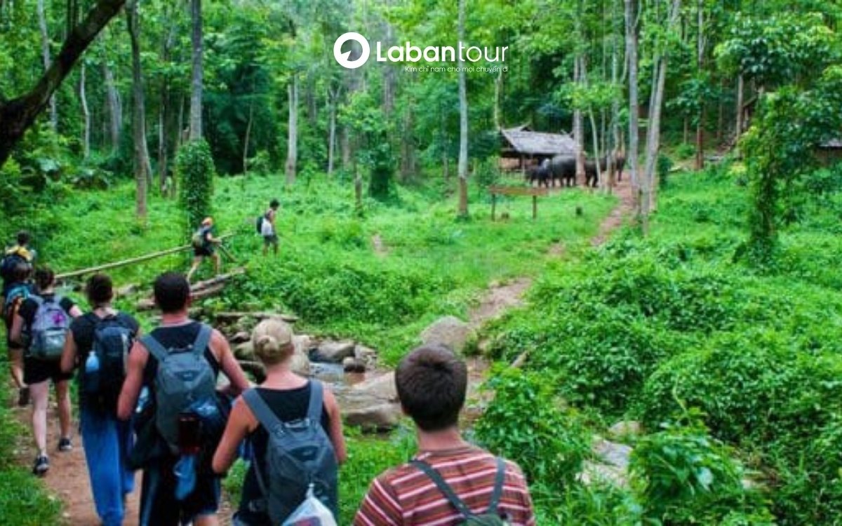 Vườn Quốc gia Phú Quốc