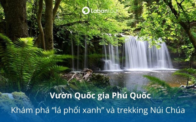 Vườn Quốc gia Phú Quốc