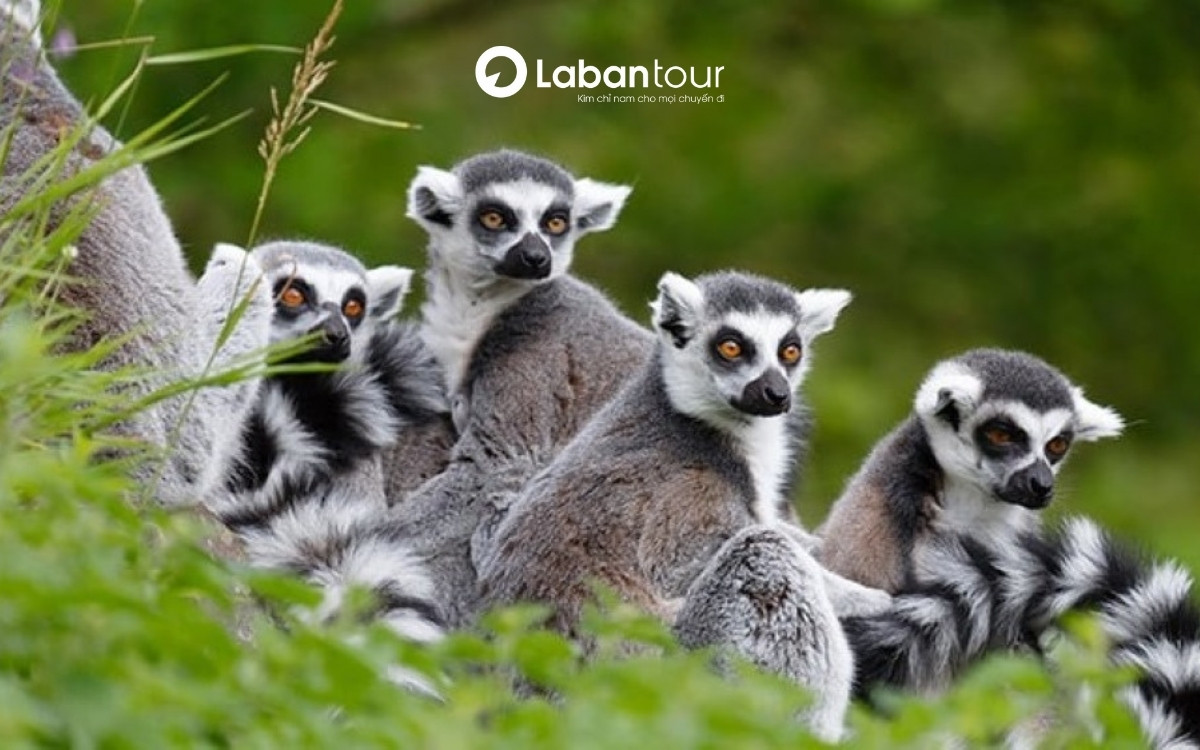 Vườn Quốc gia Phú Quốc