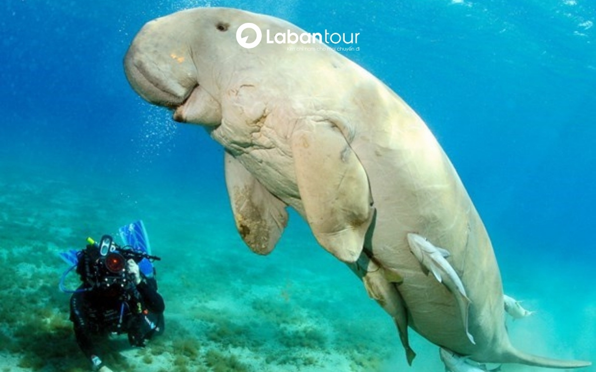 Vườn Quốc gia Phú Quốc