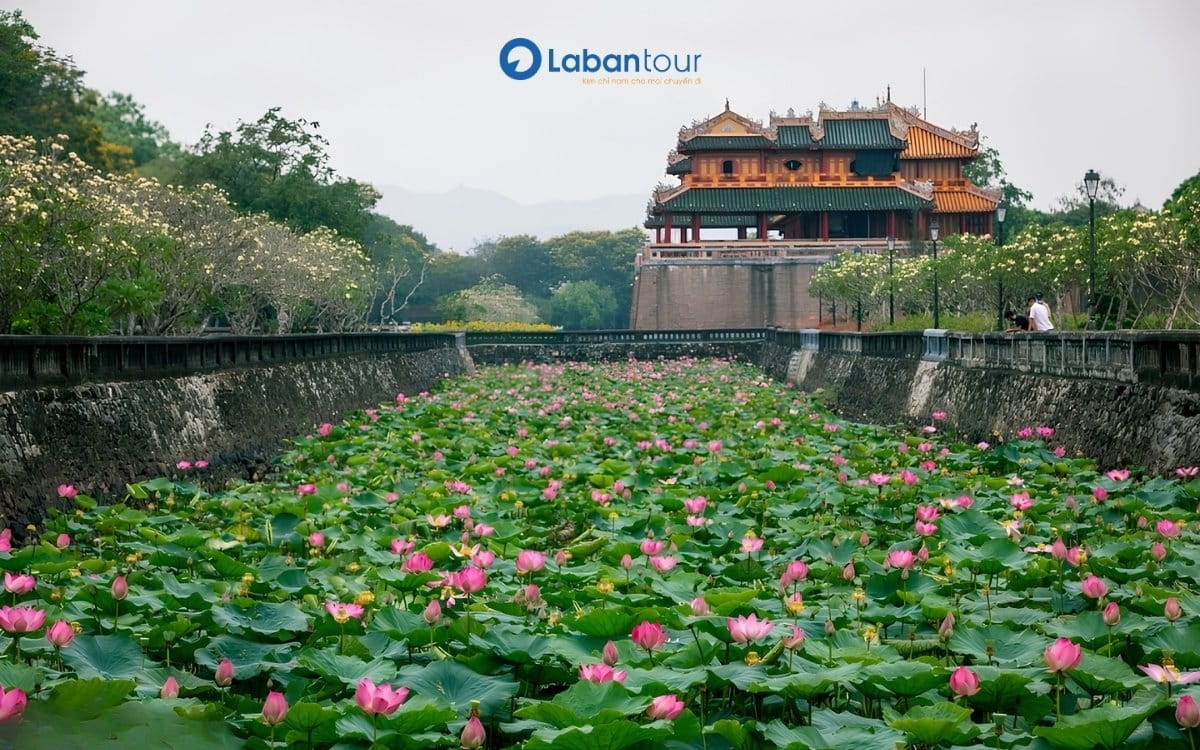 du lịch huế tháng 6