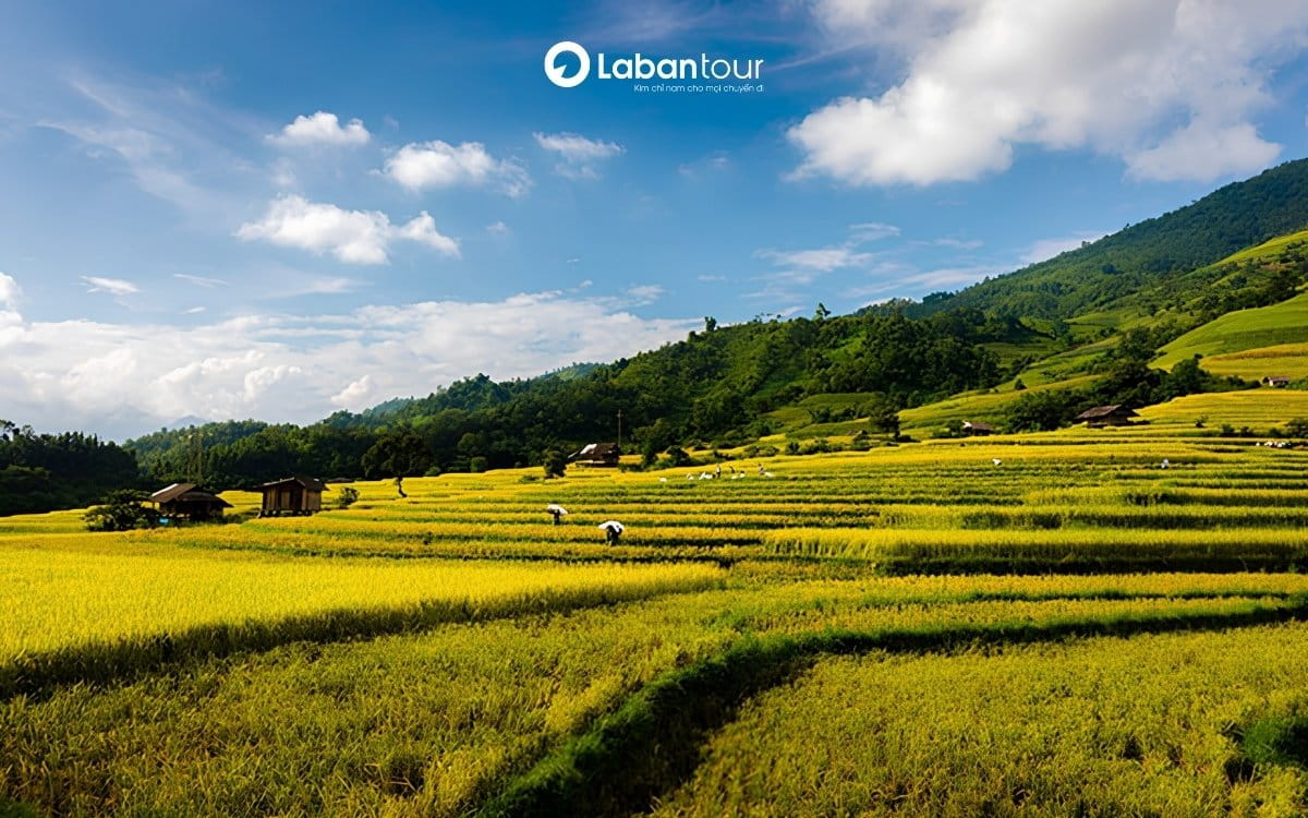 du lịch lào cai