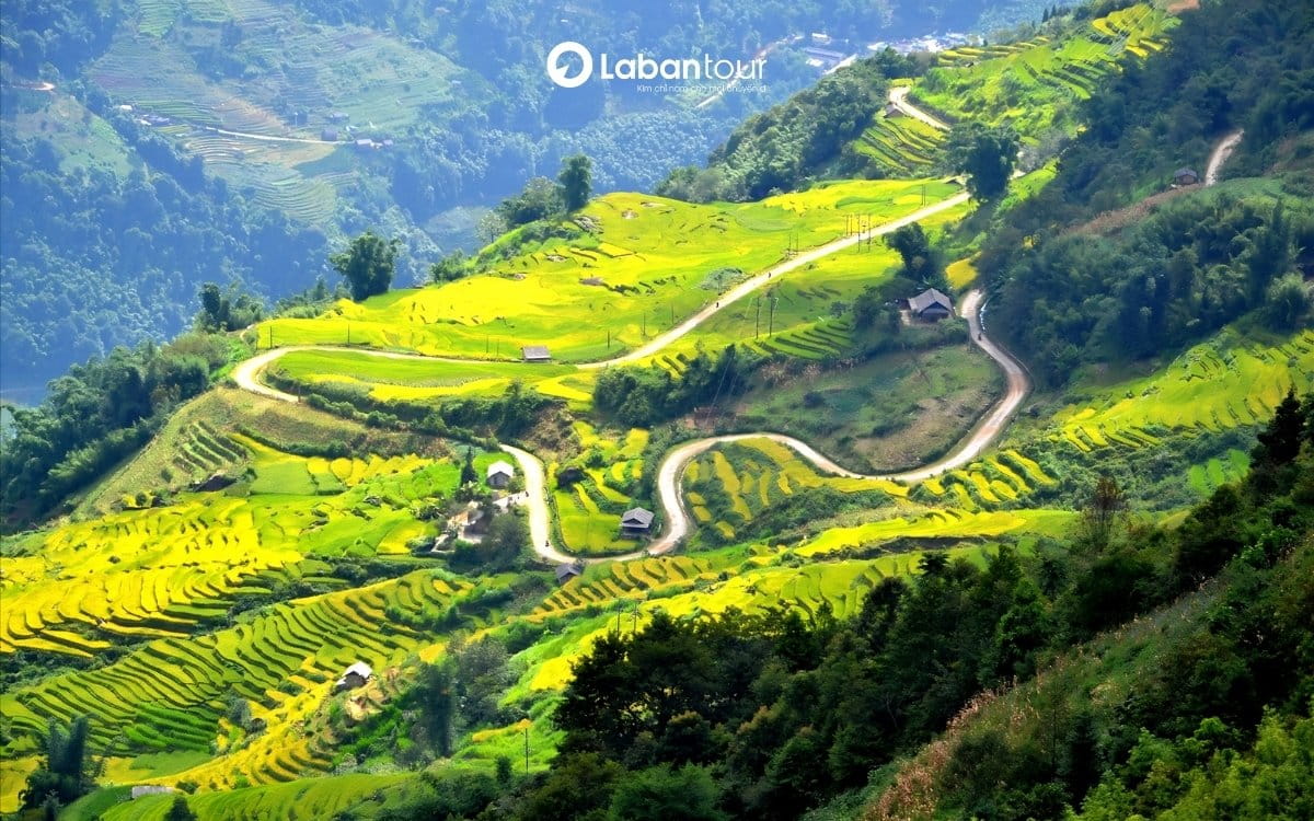 du lịch lào cai
