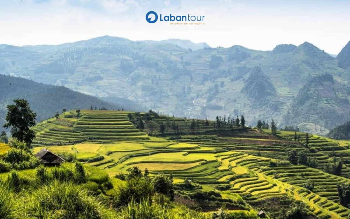 du lịch lào cai