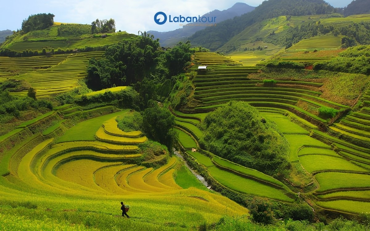 du lịch lào cai