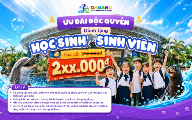 show cá heo và hải cẩu ưu đãi học sinh - sinh viên