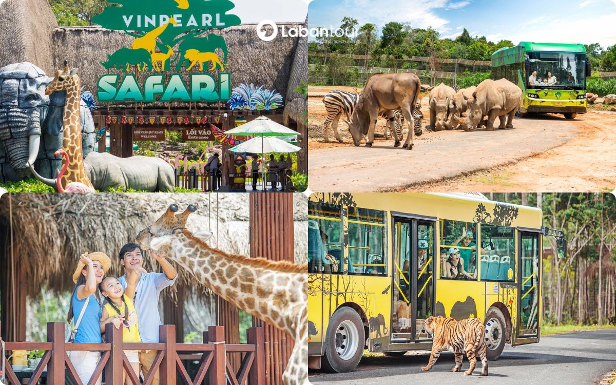 Trải nghiệm “nhốt người thả thú” tại Vinpearl Safari
