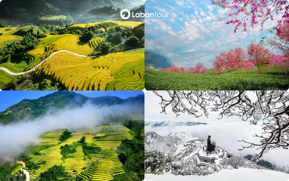 du lịch sapa bằng máy bay
